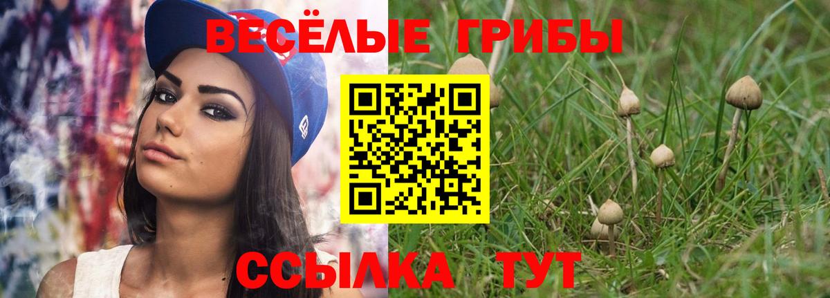 Галлюциногенные грибы мухоморы Острогожск